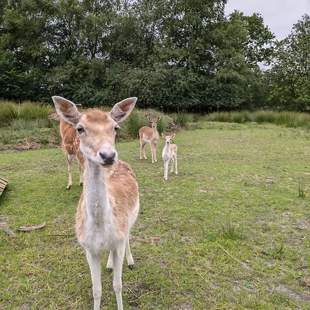 Apartament Naturblick