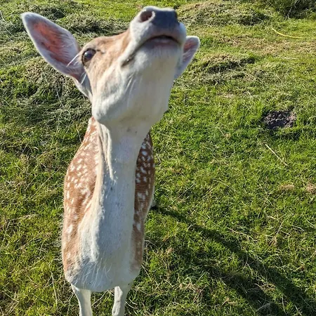 Apartament Naturblick