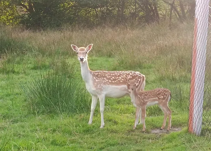 Naturblick Apartman *